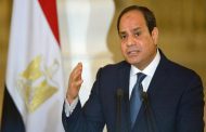 Egypt's institutions joining hands in fight against Covid-19